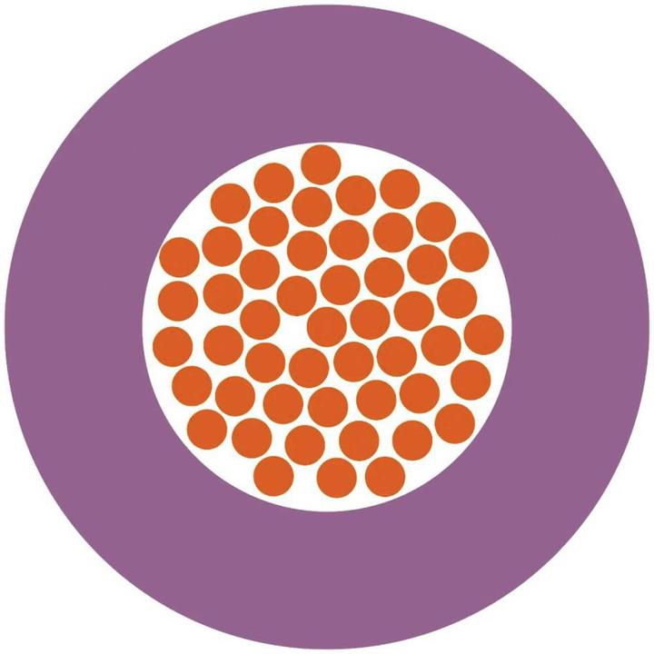 Image du produit Lapp Conducteur individuel (150 m)