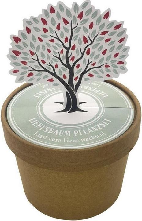 Actual product image Wunderle Wonder bag (Gift bag, 1 x)