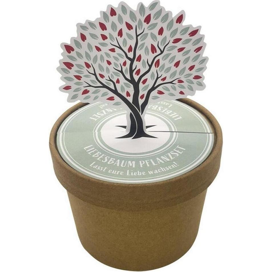 Wunderle Wundertüte (1x) (41789)