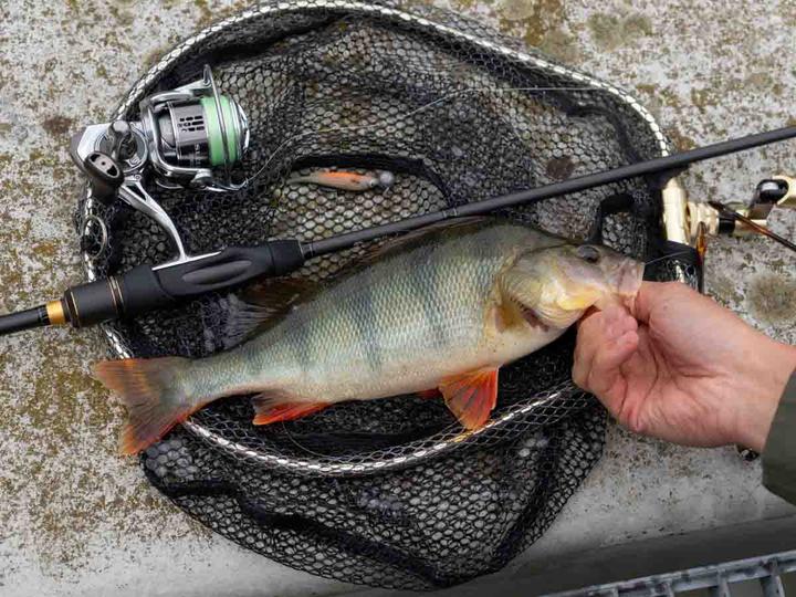 Produktbild Stucki Thun Real Rider Paddle Tail (7 cm)