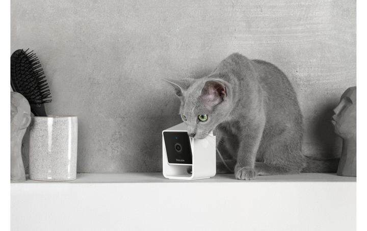 Immagine prodotto Petcube Telecamera per animali domestici (Catmint giocattolo)