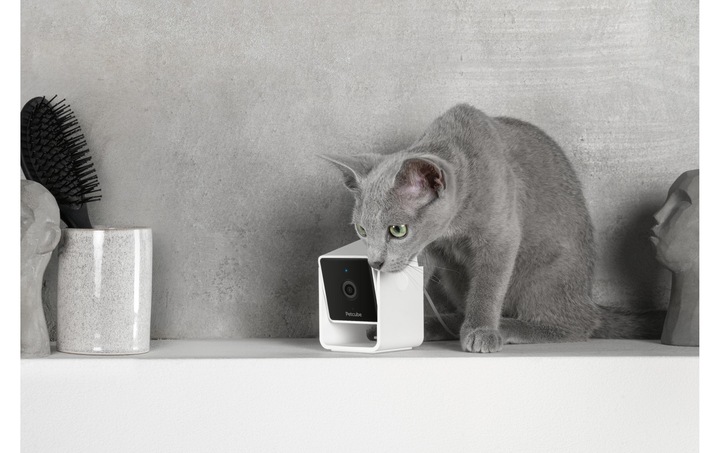 Immagine prodotto Petcube Telecamera per animali domestici (Catmint giocattolo)