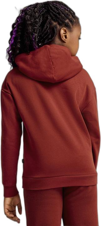 Actual product image Puma ESS+ SCRIPT Metallic Hoodie FL G (152)