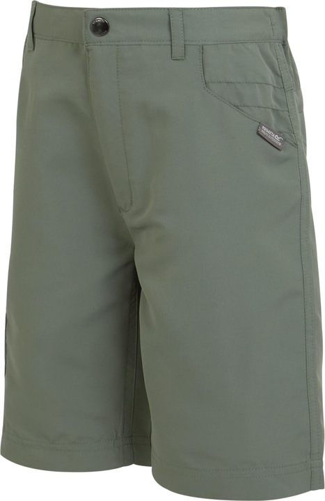 Actual product image Regatta Childrens/Kids Sorcer II Shorts (158)
