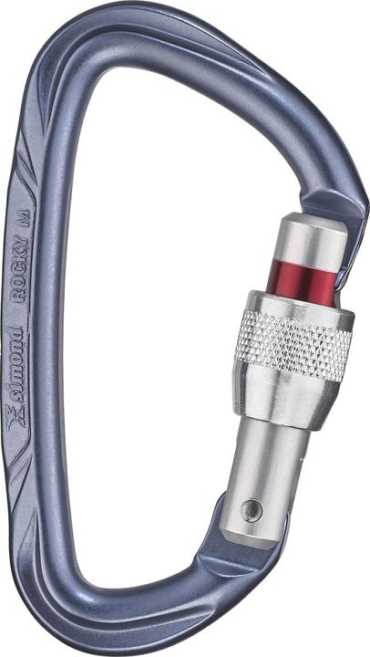 Actual product image Simond Snap hook D-shape aluminium screw lock