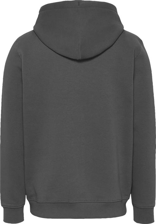 Image du produit Tommy Jeans Tjm Reg Linear Logo Hoodie Ext (L)