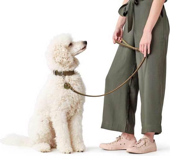 Produktbild Hunter Halsband Aalborg (45, 46, 47, 48, 49, 50, 52, 54, Hund, Hundesport)