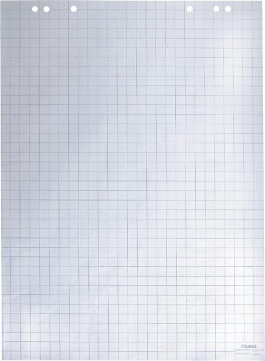 Produktbild Dahle Flipchart-Blöcke