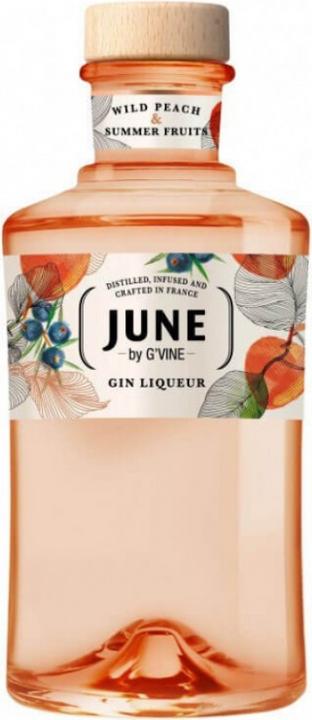 Image du produit G'Vine Esprit de June Liqueur de gin