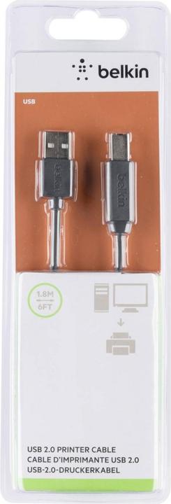 Actual product image Belkin USB A – USB B (1.80 m, USB 2.0)
