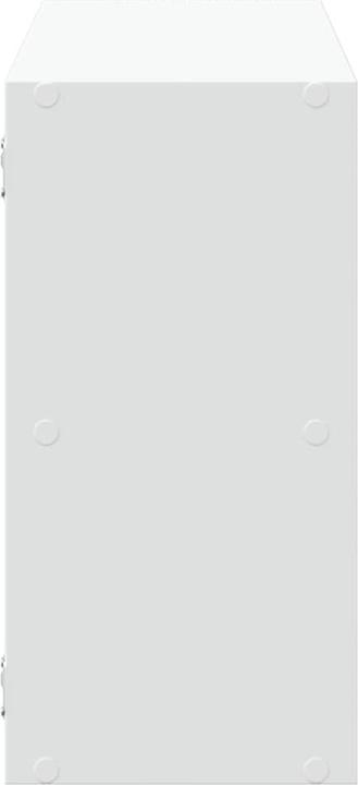 Immagine prodotto vidaXL Scaffale a muro (100 x 25 x 50 cm)