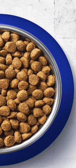 Actual product image Purina CAT FOOD ONE ADULT (WITH TURKEY) 800G (Adult, 1 pcs., 800 g)