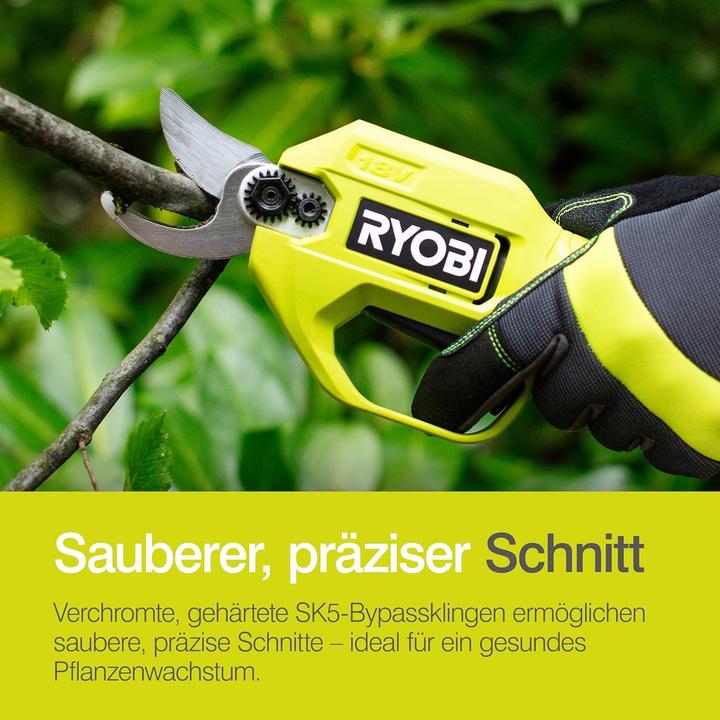 Image du produit Ryobi Secateurs