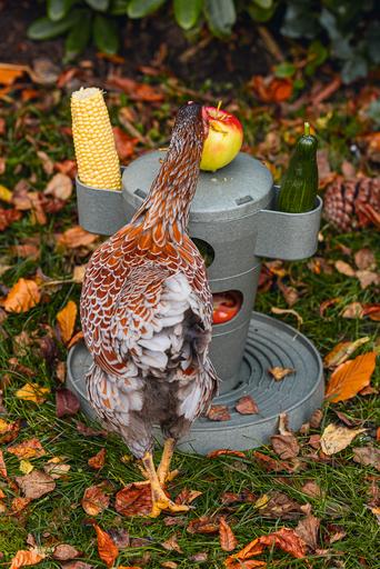 Actual product image Beeztees Feeding Station Chickens Snack Tower, Grey