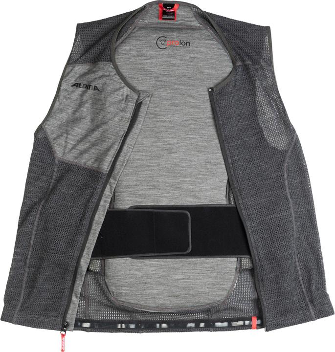 Produktbild ALPINA SPORTS Prolan (L, Rückenprotektor, Einzelstück)