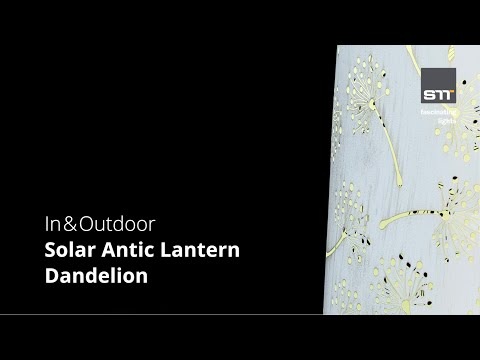 Immagine prodotto STT Dandelion