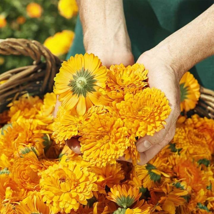 Immagine prodotto Weleda Crema per pannolini
