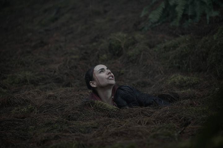 Actual product image Quicksand - Trapped in quicksand (DVD, 2024, German, English)