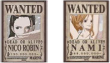 Image du produit GB Eye One Piece - Nami & Robin