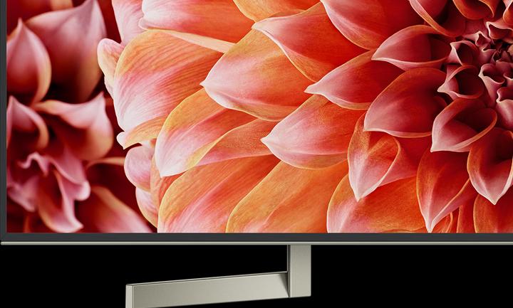 Sony Kd-49xf9005 (49", LCD, 4K, 2018)