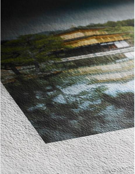 Immagine prodotto Hahnemühle Canna da zucchero A 3+ opaco 300 g, 25 fogli, bianco naturale (A3+)