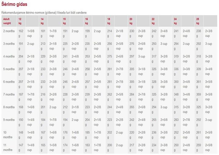 Produktbild Royal Canin Medium Junior (Junior, 1 Stk., 4000 g)