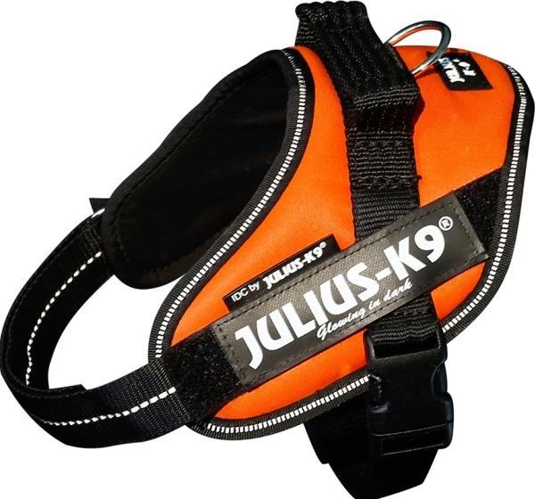 Image du produit Julius-K9 K9 IDC sele, str. : Mini, UV Orange, 49-67 cm (mini1, Chien, Promenade)