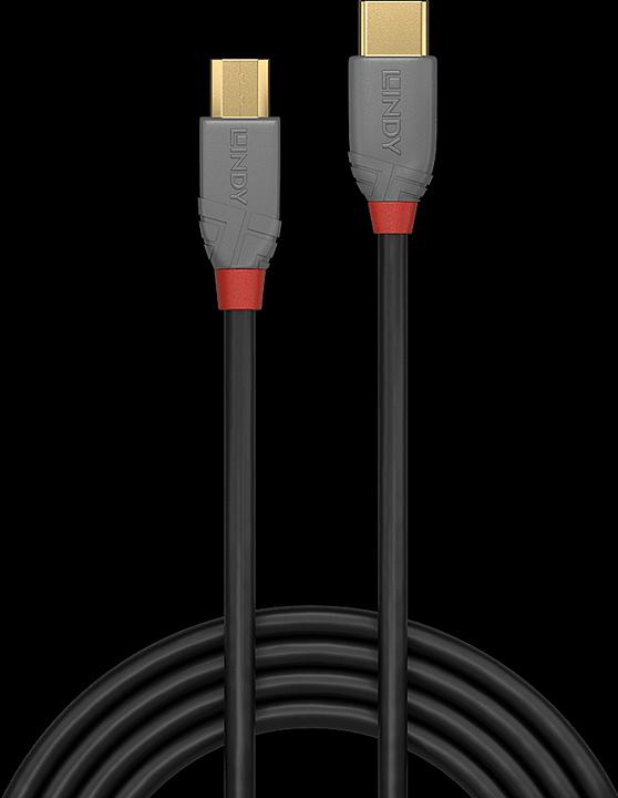 Actual product image Lindy Anthra Line (0.50 m, USB 2.0)