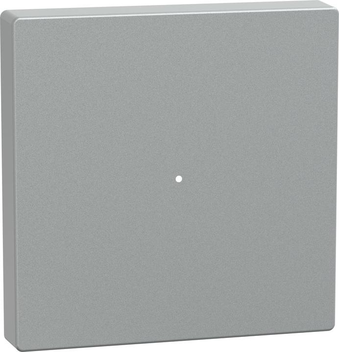 Produktbild Schneider Wippe für Tastermodul 1fach, aluminium, System M MTN625160