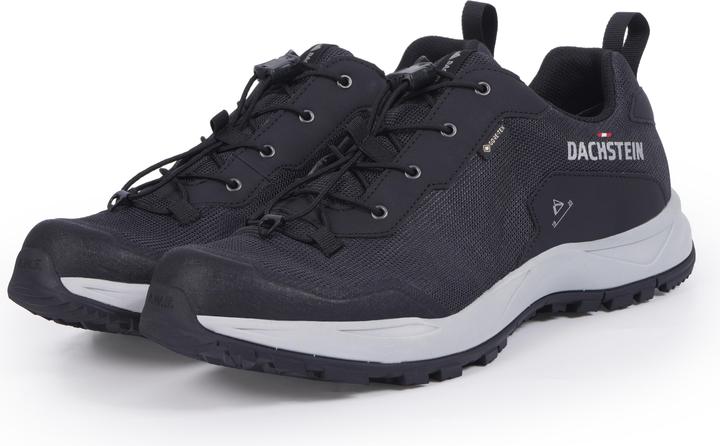 Actual product image Dachstein Delta Ascent GTX (43.5)