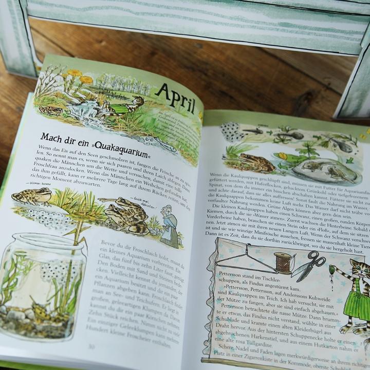 Actual product image Pettersson und Findus. Mit Findus durchs ganze Jahr (German, Angelica Carriage, Connoisseur Danielsson, Eva-Lena Larsson, Kerstin Behnken, Sven Nordqvist, 2024)