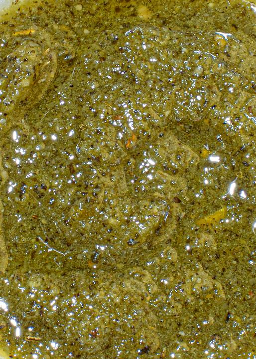 Immagine prodotto KoRo Pesto verde con salvia (180 g)