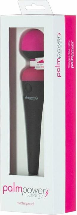 Palmpower Body Massager