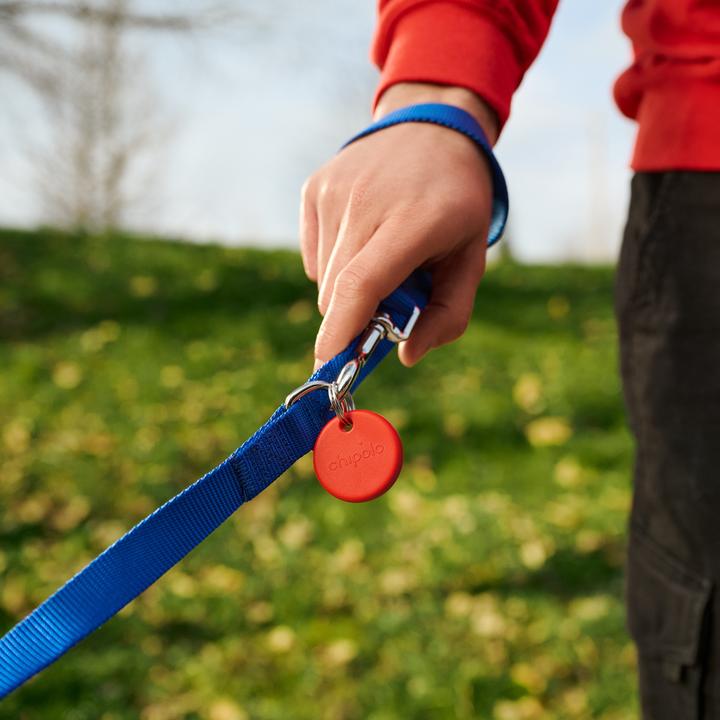 Image du produit Chipolo POP Pack de 8 (Apple & Google Find My) (Android, iOS)