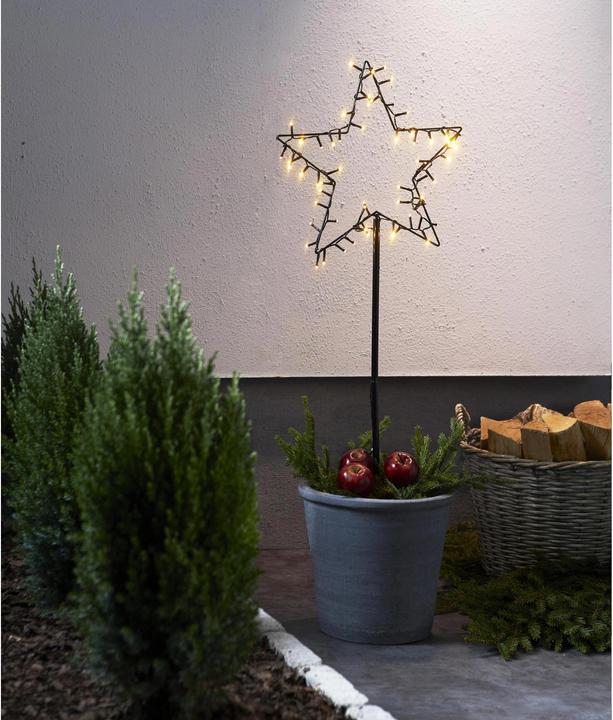 Actual product image Star Trading Star