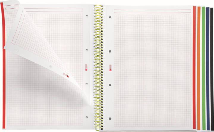 Actual product image Miquelrius Notizbuch 5 A4 120 SQU 90G PP EMOTIONS LIME MR (A4, Dotted)