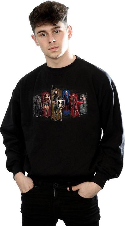 Actual product image Mens Justice League Movie Team Hexagons Sweatshirt (XXL)