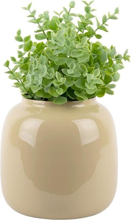 Productafbeelding present time Ivy (1 x, 6.86 l)