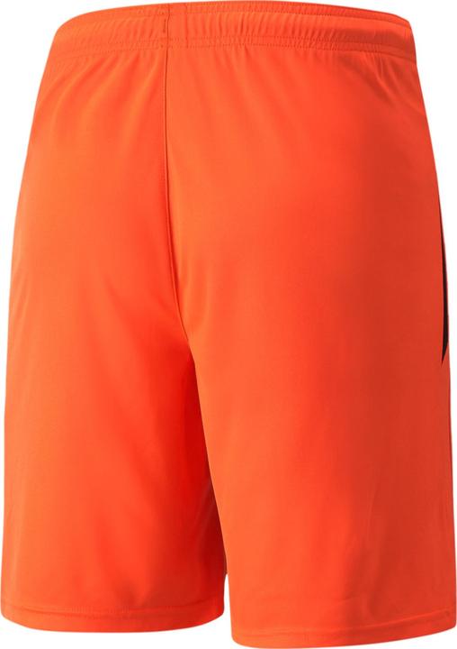 Image du produit Puma Short teamLIGA-704924 (XL)