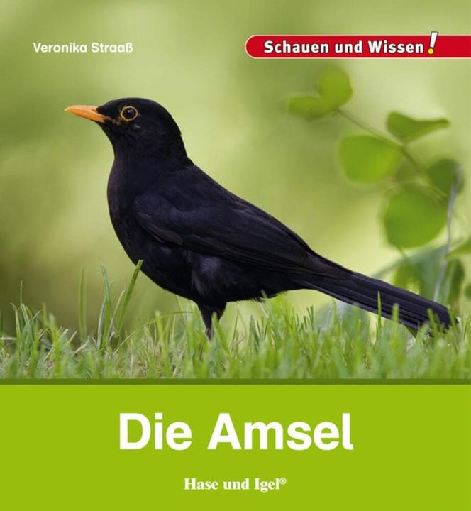 Produktbild Die Amsel (Deutsch, Veronika Straaß, 2014)