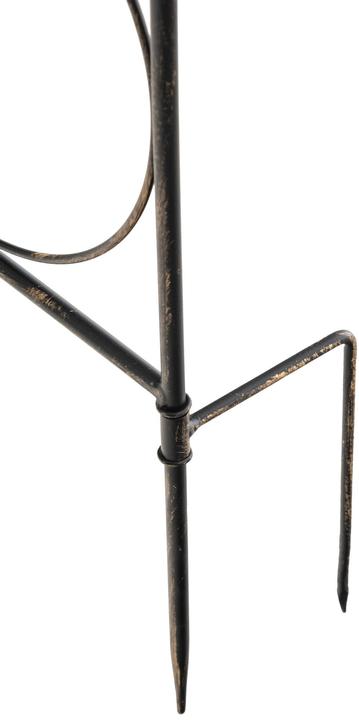 Immagine prodotto CLP Mandevilla a traliccio, bronzo (1 cm, 99 cm)