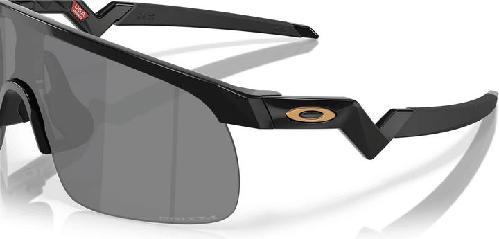Actual product image Oakley Resistor (Black, Black glossy, Prizm Black)
