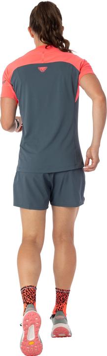 Actual product image Dynafit Alpine Pro T-Shirt (40, L)