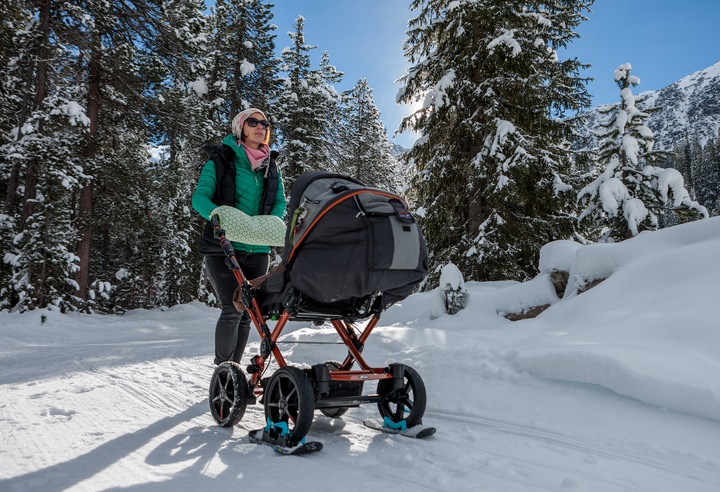 Actual product image Wheelblades XL Stroller Ski pair