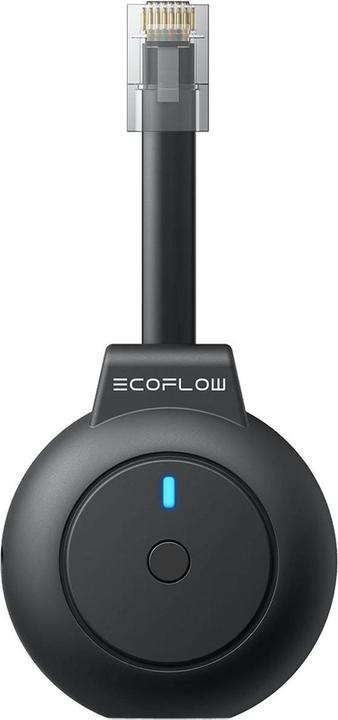EcoFlow P1 Meter