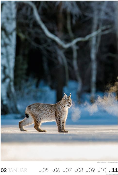 Actual product image Natur - Wochenkalender 2026