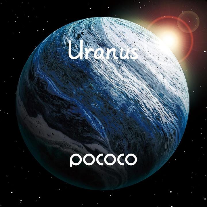 Image du produit Pococo Disques spatiaux