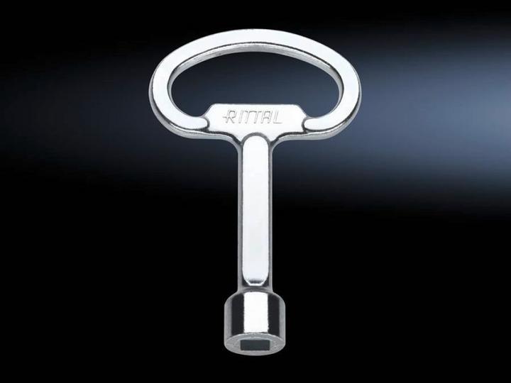 Actual product image Rittal Housing key