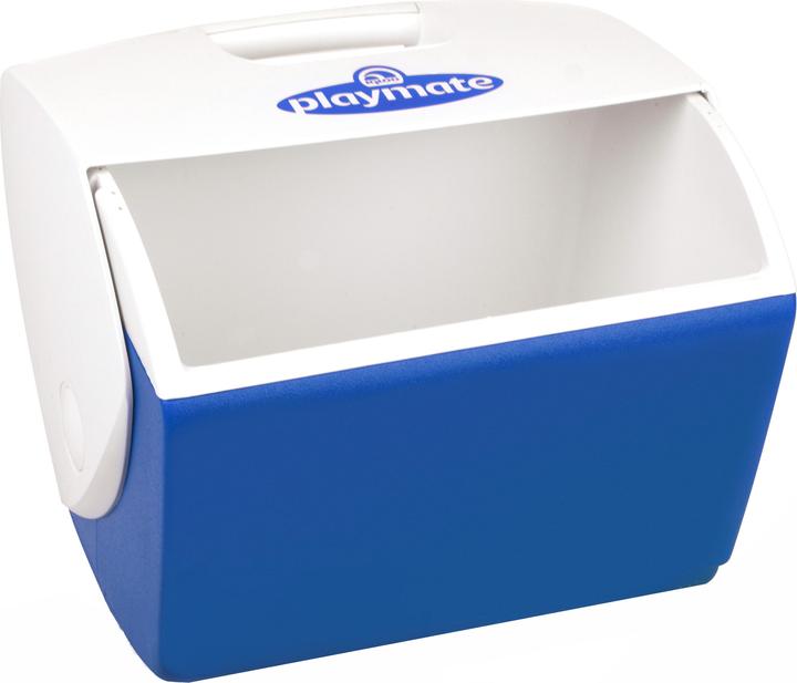 Actual product image Igloo big guardian ice box (15.20 l)