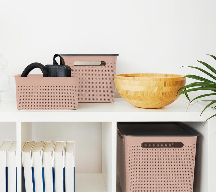 Actual product image Rotho Box 4,5 l BRISEN (4.50 l)